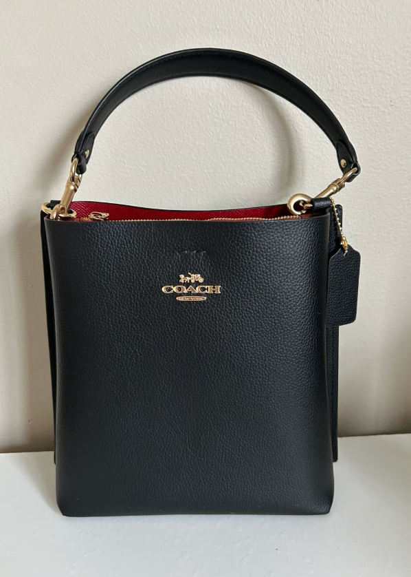 Coach Mollie Bucket Bag 22