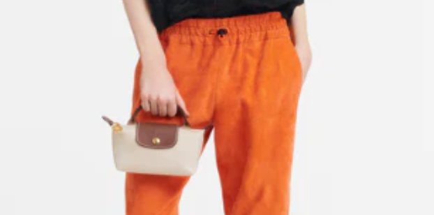 Longchamp Le Pliage mini