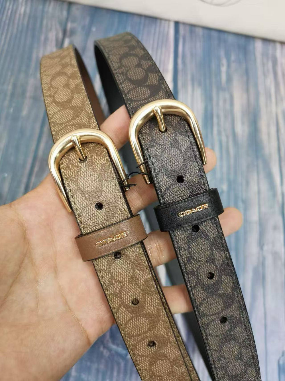 COACH BELT
